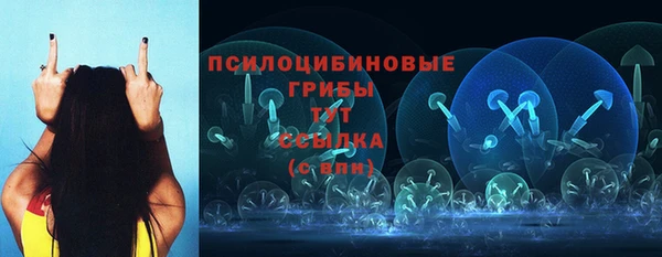 твердый Алзамай