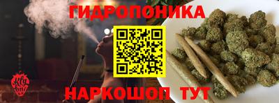 индика Наро-Фоминск