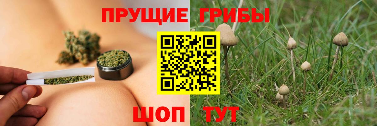 Псилоцибиновые грибы Magic Shrooms  Вход с VPN  Чебоксары 